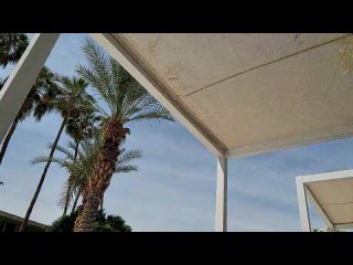 iammisstery 2026 04 22 22 47 22 854